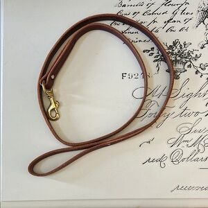 Elegant Brown Leather dog leash
